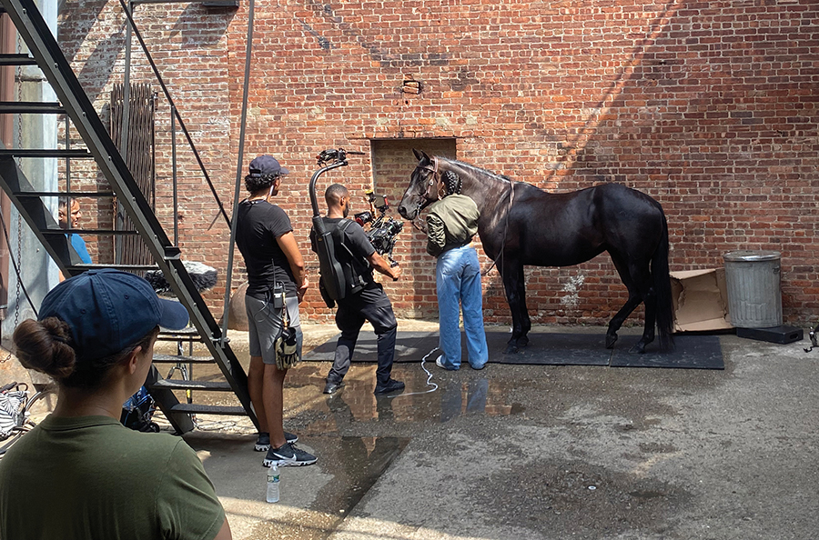 Maverick commercial
