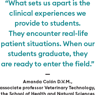 Amanda Colón quote