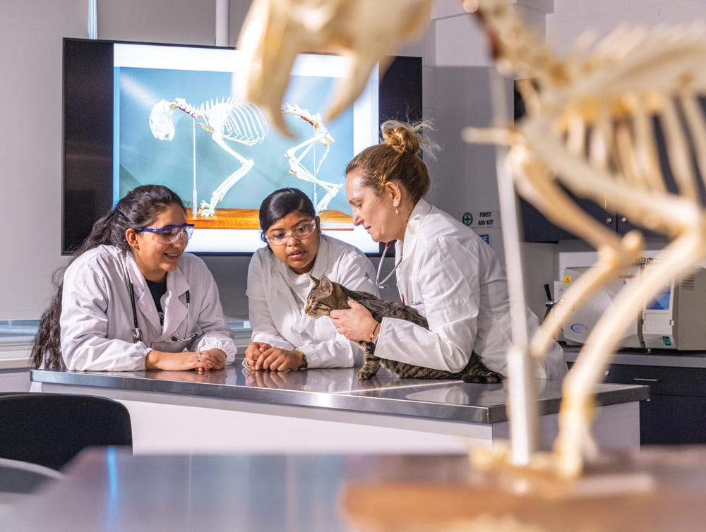 Vet Tech