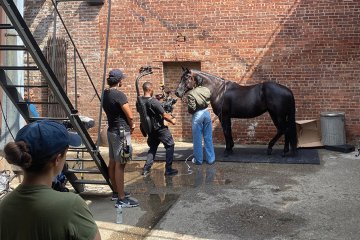 Mav Commercial