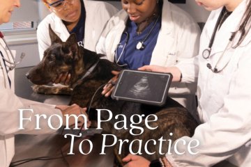 From Page to Practice