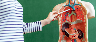 Learning about becoming a Biology Teacher