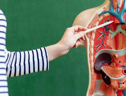 Learning about becoming a Biology Teacher