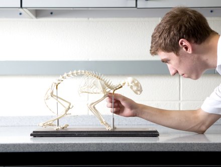 School of Health and Natural Sciences