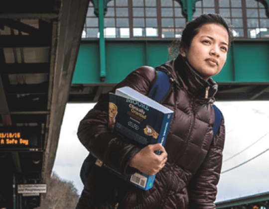 Bronx programs