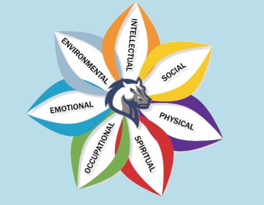 Wellness logo
